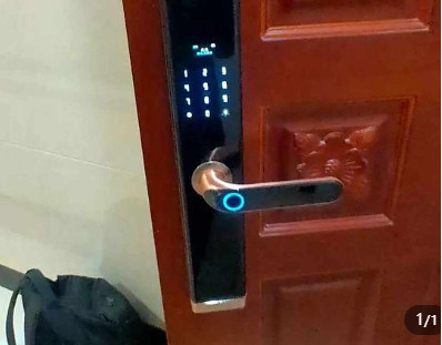 ָ������������